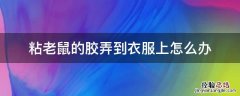 粘老鼠的胶弄到衣服上怎么办 衣服沾到老鼠胶怎么办