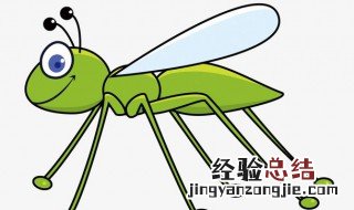 蚂蚱和蚱蜢是一样的吗? 蚂蚱和蚱蜢的区别