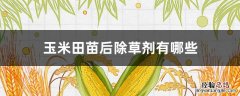 玉米田苗后除草剂有哪些 玉米苗前用什么除草剂
