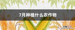 南方7月种植什么农作物 7月种植什么农作物