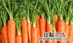 怎样炒红萝卜丝 红萝卜怎么炒才好吃
