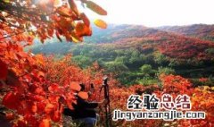 禹州红叶哪里的最好 禹州赏红叶的最好去处