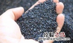 真正的黑芝麻里面是白的还是黑的图片 真正的黑芝麻里面是白的还是黑的