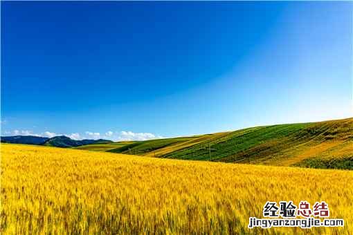 哈尔滨发布5款农机具定额补贴！具体是哪5款农机具？附补贴标准！