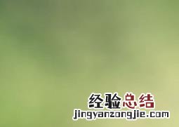 芦荟汁的功效与作用 生姜芦荟汁的功效与作用