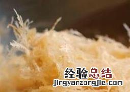 海龙须菜的功效与作用 海龙须菜的功效与作用图片