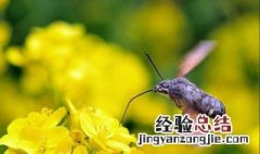 描写春天超美的比喻句 描写春天超美的比喻句和拟人句