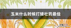 玉米什么时候打矮壮药最佳 玉米打矮壮素的最佳时间
