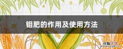 钼肥的作用及使用方法 钼肥的作用及功能