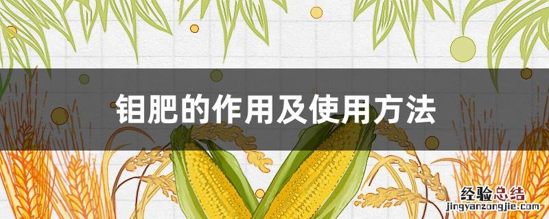 钼肥的作用及使用方法 钼肥的作用及功能