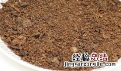 黄豆钓鲤鱼的方法详解 炒黄豆钓鲤鱼秘诀