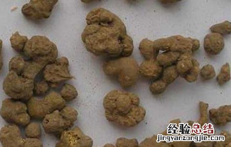 夏天无的功效与作用,夏天无的副作用 夏天无的功效与作用