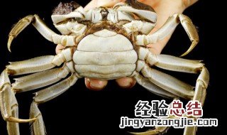 大闸蟹蒸熟了冷冻十天还能吃吗 大闸蟹蒸熟了冷冻十天还能吃吗有毒吗