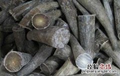 牦牛角的功效与作用