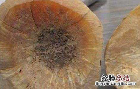 犀牛角的药用价值多少钱一克 犀牛角的药用价值