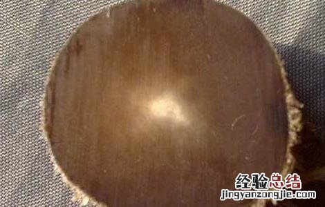 犀牛角的药用价值多少钱一克 犀牛角的药用价值