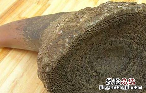 犀牛角的药用价值多少钱一克 犀牛角的药用价值