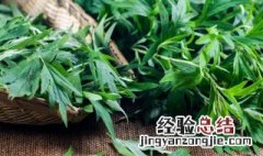 怎样用艾草做青团更青 艾草怎样做青团更青