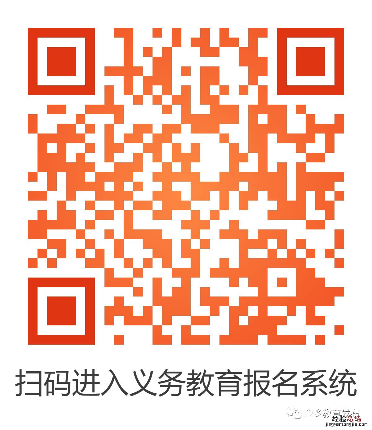 金乡小升初报名网址 金乡幼升小怎么报名