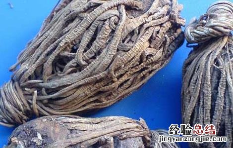 头顶一颗珠的功效与作用 头顶一颗珠的功效与作用点