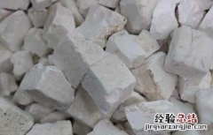天竺黄的功效与作用 天竺黄的功效与作用禁忌