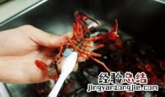 如何清洗龙虾又快又干净