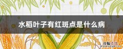 水稻叶子有红斑点是什么病 水稻叶片上有红色斑点