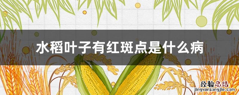 水稻叶子有红斑点是什么病 水稻叶片上有红色斑点