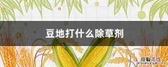 豆地能打除草剂吗 豆地打什么除草剂