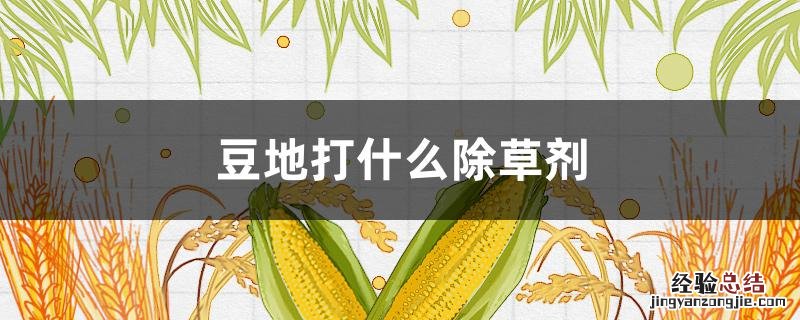 豆地能打除草剂吗 豆地打什么除草剂
