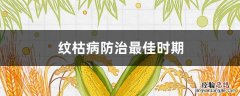 纹枯病防治最佳时期 纹枯病发病条件