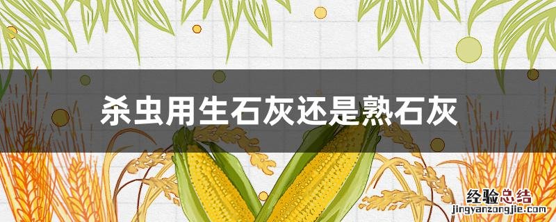 生石灰防虫还是熟石灰防虫 杀虫用生石灰还是熟石灰