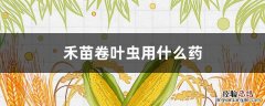 稻苗卷叶虫药用什么药 禾苗卷叶虫用什么药