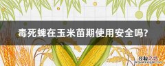 毒死蜱能不能打玉米 毒死蜱在玉米苗期使用安全吗?
