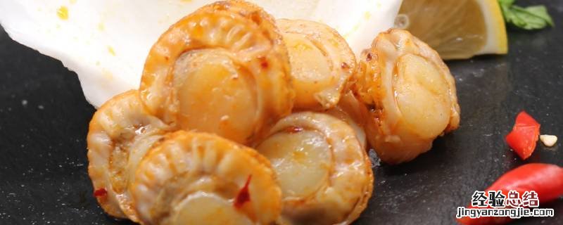 贝壳里面的肉怎么吃 贝壳吃哪里的肉图解