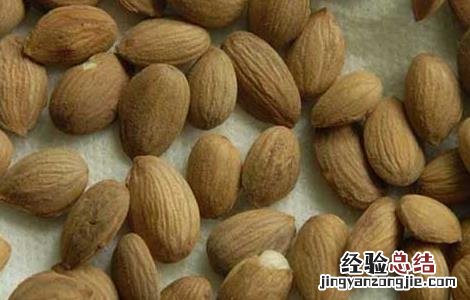 桃仁的功效与作用禁忌 桃仁的功效与作用