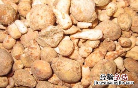 法半夏与水半夏的功效与作用 水半夏的功效与作用
