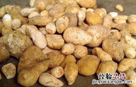 法半夏与水半夏的功效与作用 水半夏的功效与作用