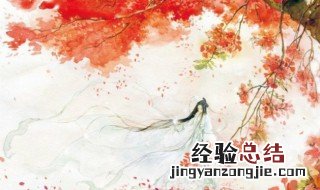 桐华写的的长相思讲的什么?