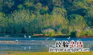 中国三大湿地是哪些省 中国三大湿地是哪些