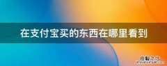 支付宝上买的东西在哪看 在支付宝买的东西在哪里看到
