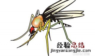 驱蚊虫的妙招有哪些视频 驱蚊虫的妙招有哪些