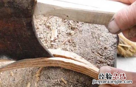 88年苏合香的功效与作用 苏合香的功效与作用