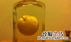 梨酒的做法 怎样做梨酒