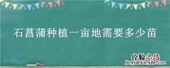 石菖蒲种苗价格及种植方法 石菖蒲种植一亩地需要多少苗