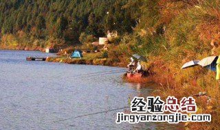 春季东南风适合钓鱼吗 了解一下风向对钓鱼的影响