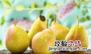 梨酒怎么做好吃 梨酒制作的步骤有哪些