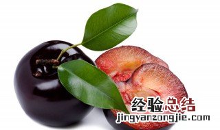 果脯的做法李子 李子果脯的做法