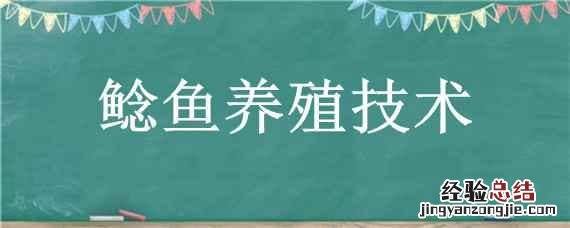 鲶鱼养殖技术 大口鲶鱼养殖技术