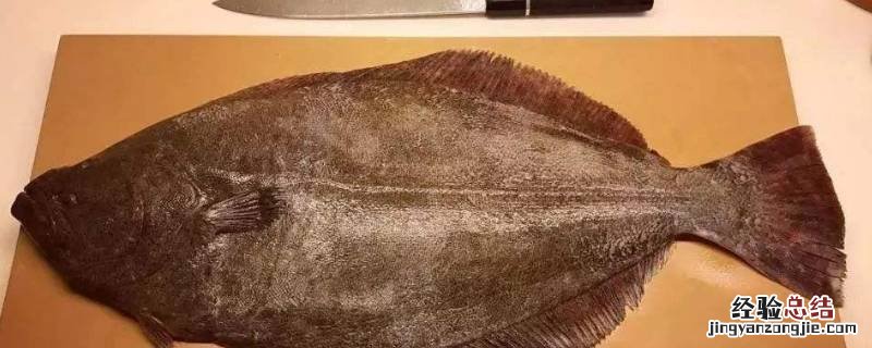 鲽鱼怎样快速去鳞 鲽鱼怎么去鳞